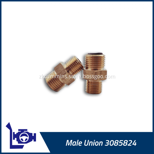 3085824 Cummins Male Union